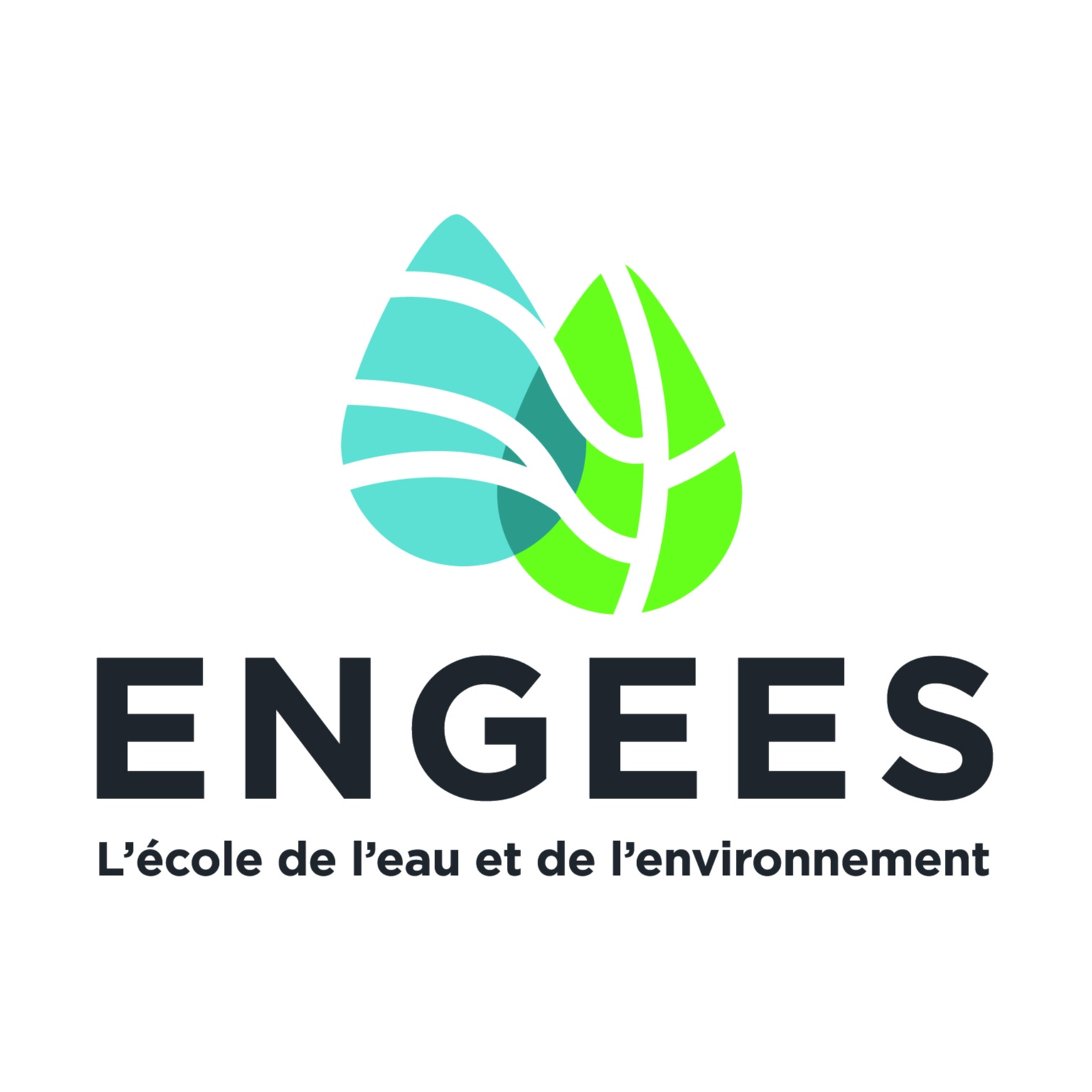 ENGEES - L'école de l'eau et de l'environnement