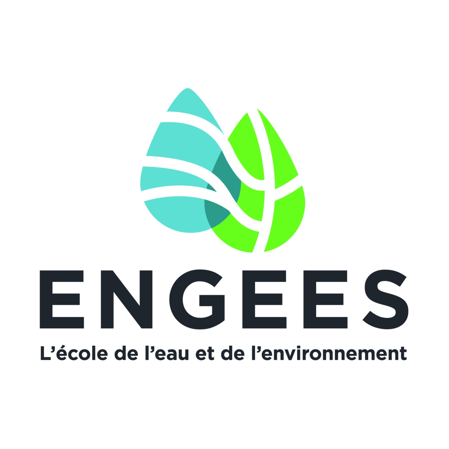 ENGEES / Mines Nancy / ENSG Nancy