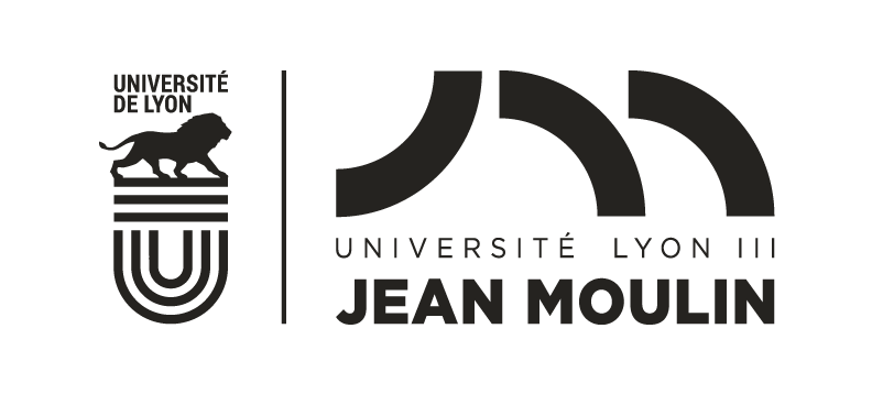 Université Jean Moulin Lyon 3 – Institut Droit Art Culture