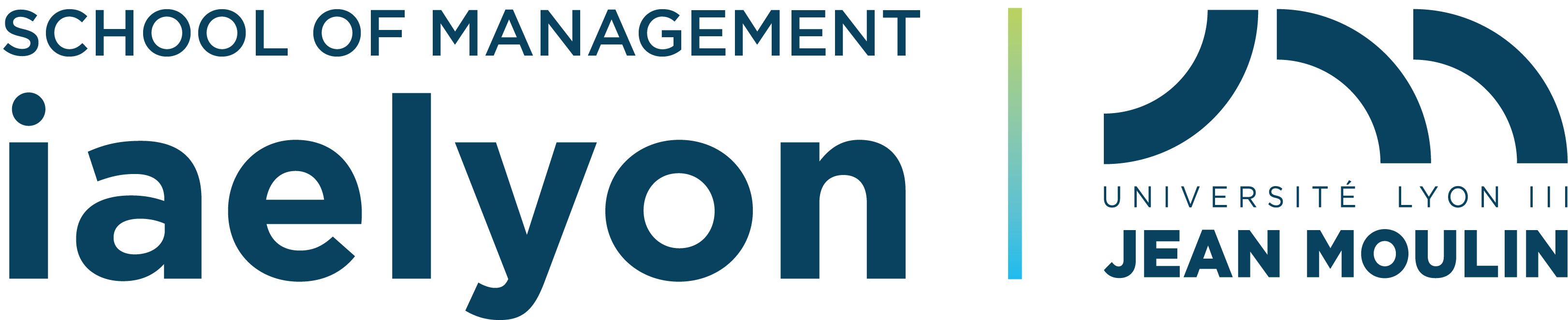 iaelyon School of Management